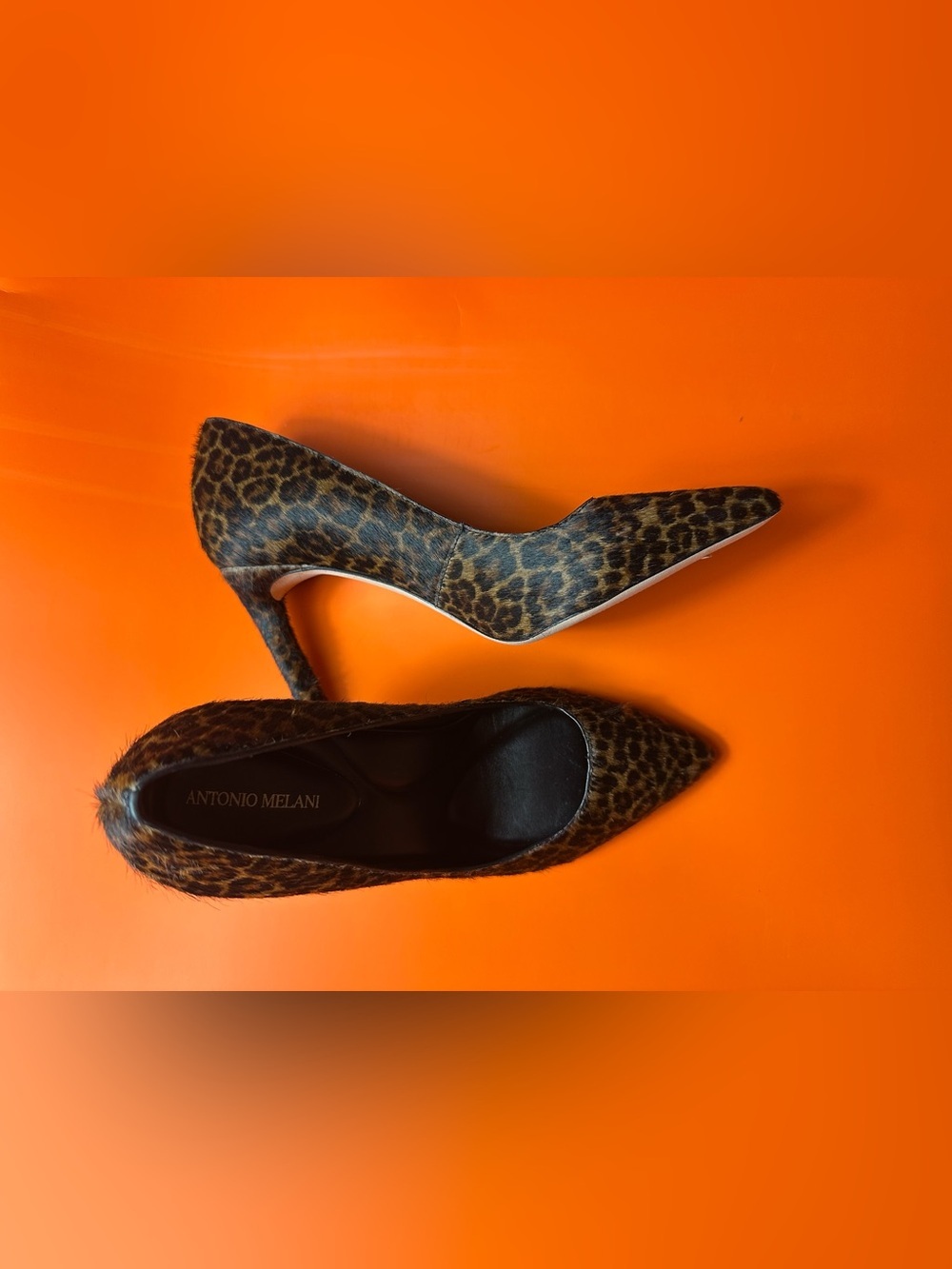 Leopard Print Pointed-Toe High Heels - Picture 4 of 16